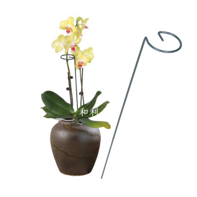 Podpora pro květiny a rostliny - 40 cm